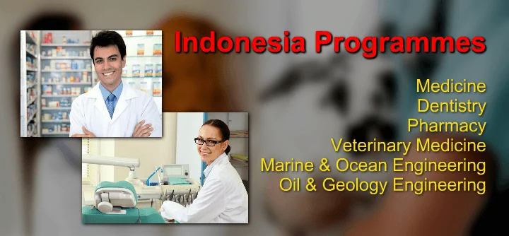 Indonesia Programmes
