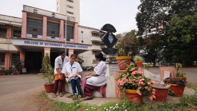 Kerala Veterinary & Animal Sciences University | Malaysia Jay Excel Medic | Study Medicine, Dentistry, Pharmacy, Veterinary & Engineering Overseas Kerala Veterinary & Animal Sciences University | Malaysia Jay Excel Medic | Study Medicine, Dentistry, Pharmacy, Veterinary & Engineering Overseas