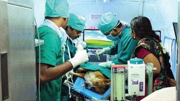 Kerala Veterinary & Animal Sciences University | Malaysia Jay Excel Medic | Study Medicine, Dentistry, Pharmacy, Veterinary & Engineering Overseas Kerala Veterinary & Animal Sciences University | Malaysia Jay Excel Medic | Study Medicine, Dentistry, Pharmacy, Veterinary & Engineering Overseas