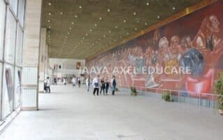 Pirogov Russian National Research Medical University Intro Image